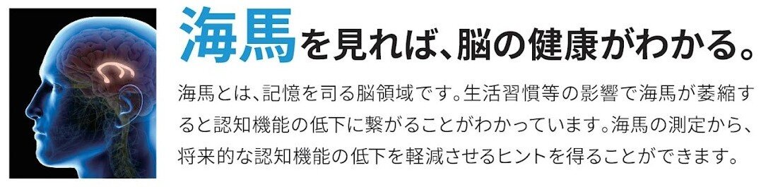 脳の健康.jpg